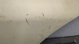  Удлинитель двери MAN TGX Арт 20491100, вид 2