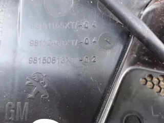 98101165XT Решетка стеклоочистителя (Дождевик) DS 7 Crossback Арт AL17646212559_2, вид 5