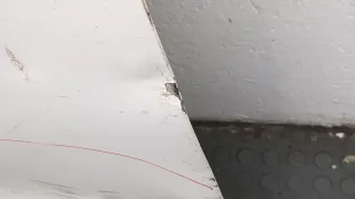 9811898280 Дверь сдвижная левая белая Citroen jumpy 3 Арт 20537435, вид 4