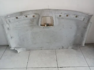 A9066901650 Потолок Mercedes Sprinter W906 Арт 243-7, вид 1