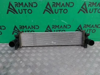 302000800AA интеркулер EXEED RX Арт 330688RM, вид 1
