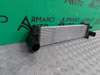 302000800AA интеркулер EXEED RX Арт 330688RM, вид 2