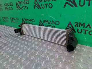 302000800AA интеркулер EXEED RX Арт 330688RM, вид 3