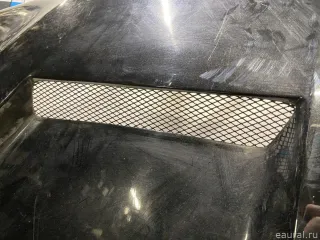 41617121102 BMW Капот BMW X5 E53 Арт E84822295, вид 11