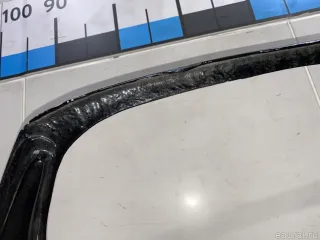 41617121102 BMW Капот BMW X5 E53 Арт E84822295, вид 61