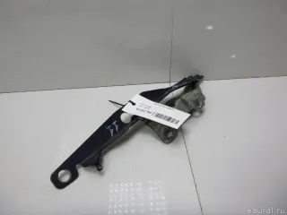 31250186 Volvo Петля капота правая Volvo S80 2 restailing 2 Арт E12432790, вид 3