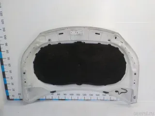 5N0823031D VAG Капот Volkswagen Tiguan 1 Арт E41226068, вид 3