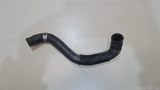 254532R000 Hyundai-Kia Шланг системы охлаждения Kia Carnival 4 Арт E23403495, вид 1