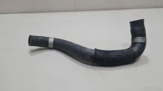 254532R000 Hyundai-Kia Шланг системы охлаждения Kia Carnival 4 Арт E23403495, вид 2