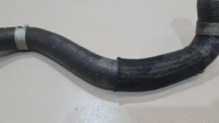 254532R000 Hyundai-Kia Шланг системы охлаждения Kia Carnival 4 Арт E23403495, вид 4