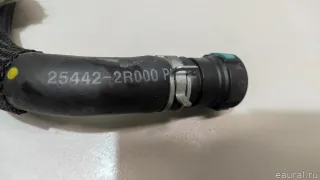 254422R000 Hyundai-Kia Шланг системы охлаждения Kia Sorento 4 Арт E23597104, вид 7