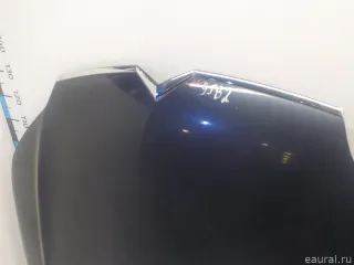 7901P3 Citroen-Peugeot Капот Citroen C5 2 Арт E41228046, вид 4