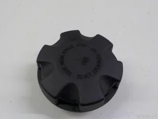 1414250200 JP Group Крышка расширительного бачка BMW 4 F32/F33/GT F36 Арт E41150453, вид 1