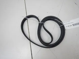 11287628651 BMW Ремень ручейковый BMW Z4 E89 3.0л Арт E70487855, вид 1