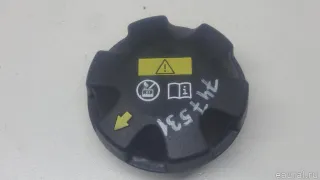 17117639020 BMW Крышка расширительного бачка BMW X6 E71/E72 Арт E70747531, вид 1