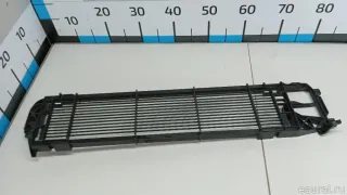 17118472305 BMW Молдинг (рамка) решетки радиатора BMW X4 G02 Арт E103045562, вид 2