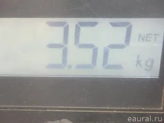 31356870651 BMW Стабилизатор подвески (поперечной устойчивости) передний BMW X4 G02 Арт E95754368, вид 10