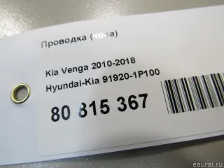 919201P100 Hyundai-Kia Проводка (коса) Kia Venga Арт E80815367, вид 5