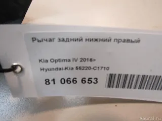 55220C1710 Hyundai-Kia Рычаг задний правый Hyundai Sonata (LF) Арт E81066653, вид 7