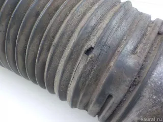 2213209313 Mercedes Benz Амортизатор передний Mercedes S W221 Арт E84697228, вид 5