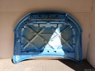 8402100XST01A Great Wall Капот Haval Jolion Арт E23753881, вид 5