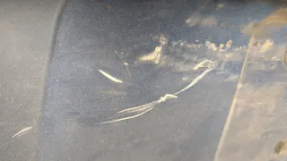 74890SCVA20ZA Борт откидной Honda Element Арт 20174118, вид 3