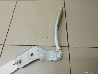 3CN823302A VAG Петля капота правая Volkswagen Teramont Арт E95669013, вид 4