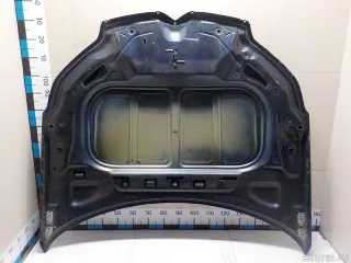 7901P3 Citroen-Peugeot Капот Citroen C5 2 Арт E52549102, вид 4