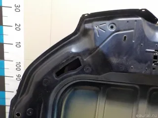 7901P3 Citroen-Peugeot Капот Citroen C5 2 Арт E52549102, вид 5