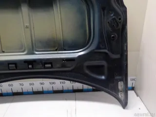 7901P3 Citroen-Peugeot Капот Citroen C5 2 Арт E52549102, вид 7