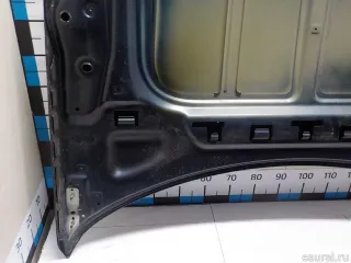 7901P3 Citroen-Peugeot Капот Citroen C5 2 Арт E52549102, вид 8