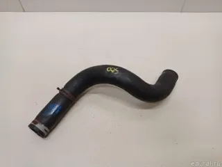 96831559 GM Патрубок радиатора Chevrolet Orlando Арт E22531536, вид 4