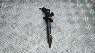 6H4Q9K546DB Форсунка дизельная Land Rover Range Rover Sport 1 Арт COK04AL06, вид 1