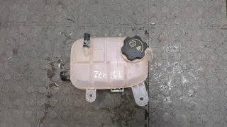 95380033 Расширительный бачок Opel Mokka 1 Арт 20318690, вид 1