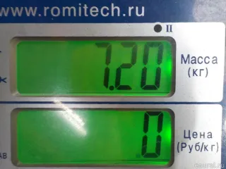1643231465 Mercedes Benz Стабилизатор подвески (поперечной устойчивости) передний Mercedes GL X164 Арт E48412891, вид 6