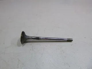 03C109611G VAG Клапан выпускной Audi A3 8P Арт E48418240, вид 1