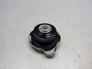 25330C7000 Hyundai-Kia Крышка радиатора Kia Sorento 3 restailing Арт E48506956, вид 5