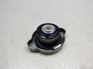 25330C7000 Hyundai-Kia Крышка радиатора Kia Sorento 3 restailing Арт E48506956, вид 6