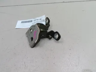 804207876R Renault Петля двери Renault Duster 2 Арт E48548592, вид 2