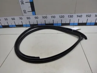821101H000EQ Hyundai-Kia Уплотнитель двери Kia Ceed 1 Арт E48594161, вид 5