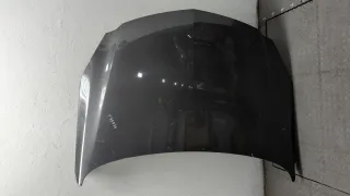 13276949,20970122,13248744 Капот серый Opel Insignia 1 Арт 20330717