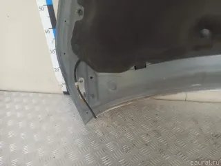 651005AA0A Nissan Капот Nissan Murano Z52 Арт E23450318, вид 12