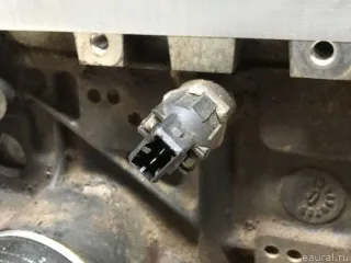 1010201Q1E Nissan Двигатель Nissan Almera G15 Арт E31591616, вид 6