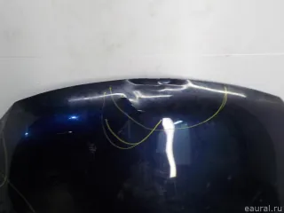 5N0823031D VAG Капот Volkswagen Tiguan 1 Арт E70800633, вид 4