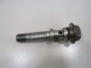 98469368 Fiat Болт полый Fiat Ducato 2 Арт E80984457, вид 1