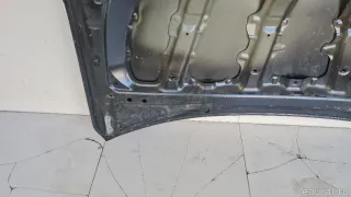 5330142110 Toyota Капот Toyota Rav 4 4 Арт E100570545, вид 12