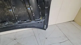5330142110 Toyota Капот Toyota Rav 4 4 Арт E100570545, вид 13