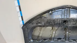 5330142110 Toyota Капот Toyota Rav 4 4 Арт E100570545, вид 14
