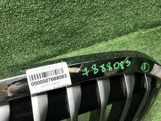 51137454895 Решетка радиатора BMW X7 g07 Арт 0000007888083, вид 12