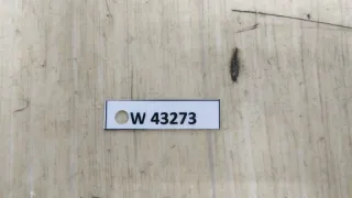 A2189007306 Блок розжига ксенона Mercedes ML/GLE W166 Арт W43273-8, вид 4